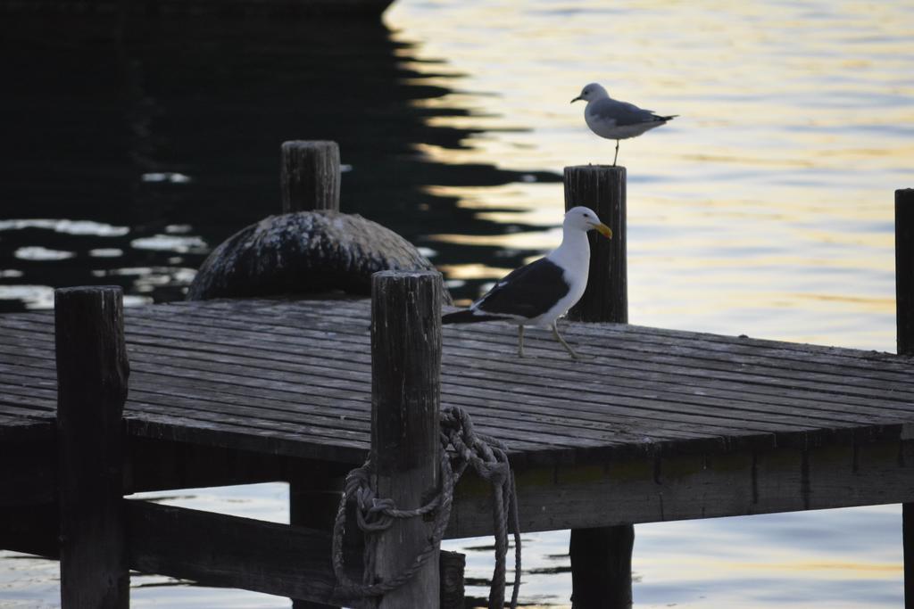 Rivertides Self Catering Guest House Velddrif Esterno foto